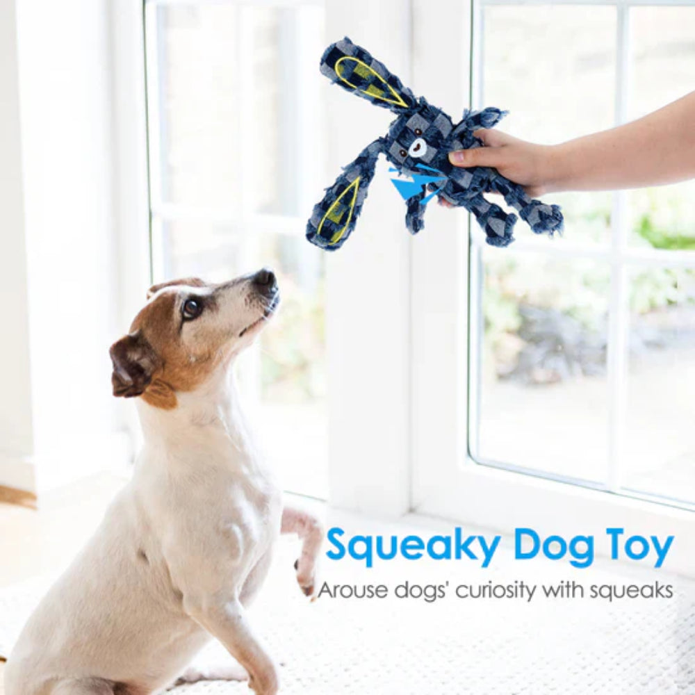Dog Toy Durable Rubber Chew Toy for Heavy Chewers with Squeaker