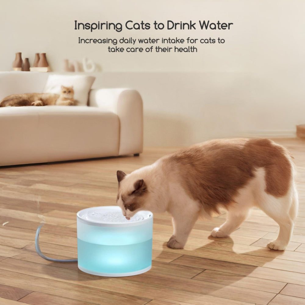 Cat Water Fountain with Quiet Filtered Flow and Wireless Design