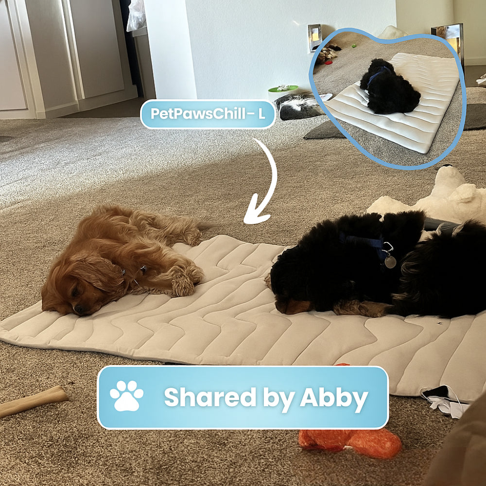 Dog Cooling Mat Reversible Washable Pad for Summer and Winter Comfort
