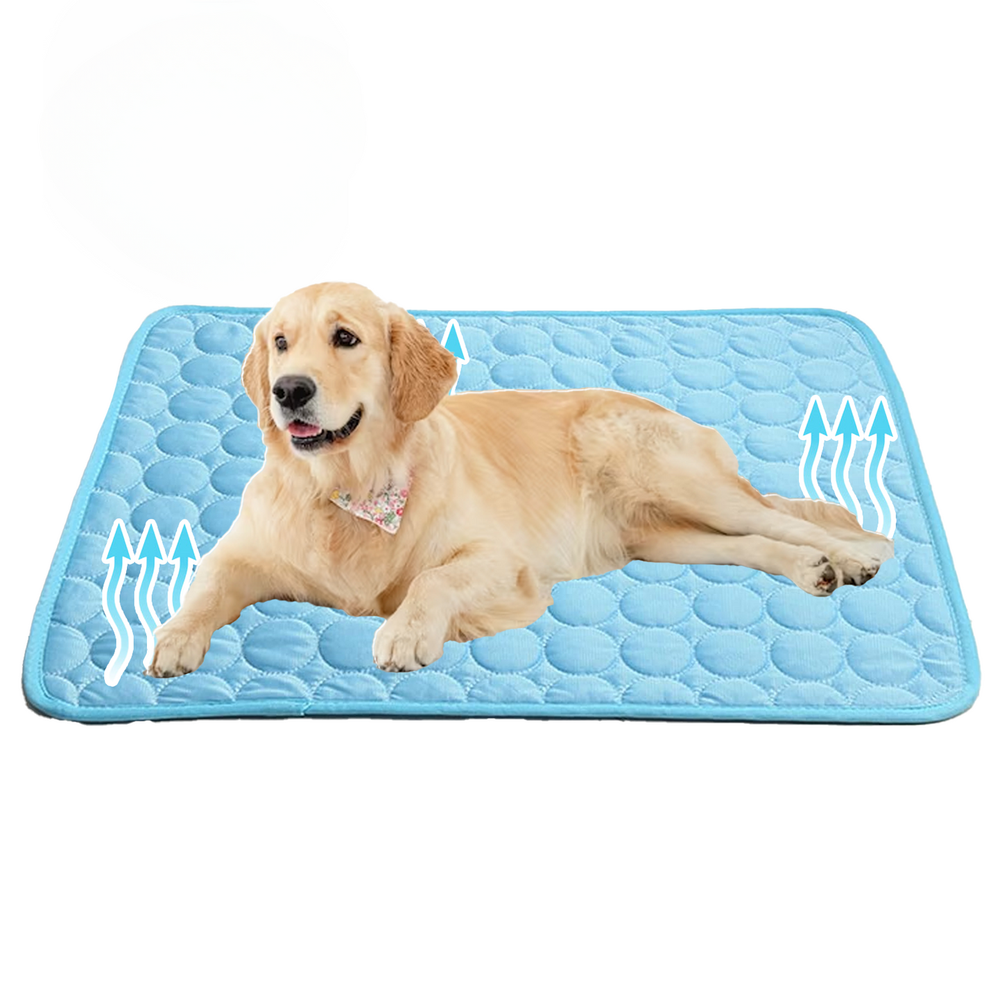 Cooling Dog Mat with Advanced Gel Technology for Instant Heat Relief 1