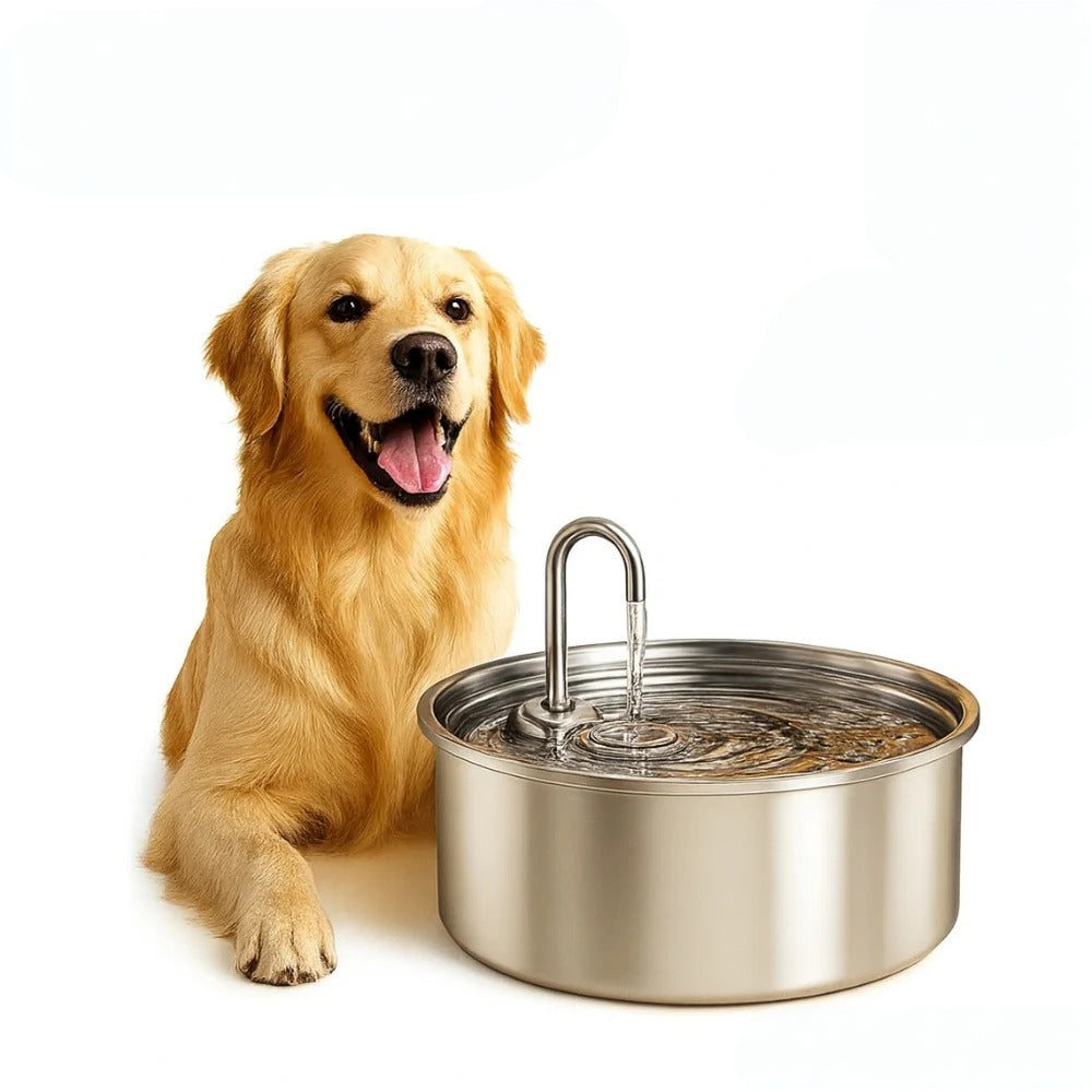 Dog Stainless Steel Water Fountain Large Quiet Dispenser