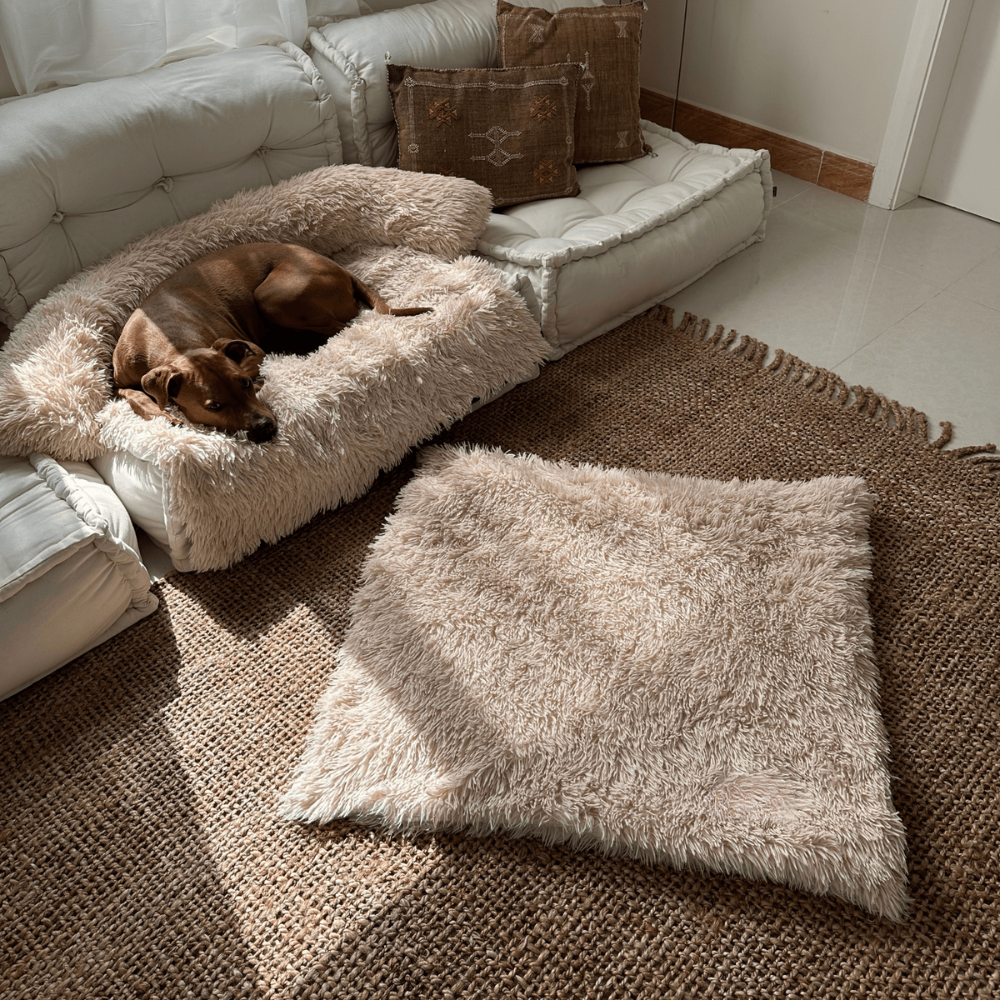Pet Blanket Soft Plush Faux Fur Washable Throw for Dogs and Cats