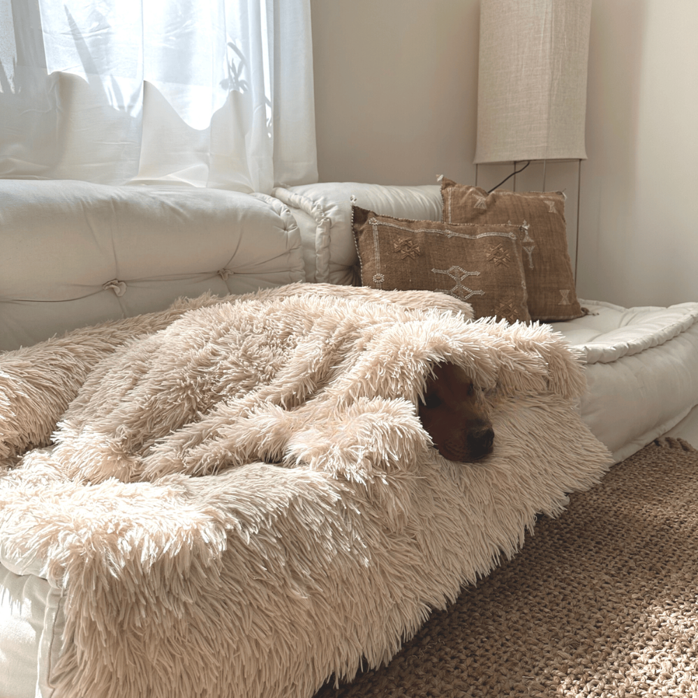 Pet Blanket Soft Plush Faux Fur Washable Throw for Dogs and Cats