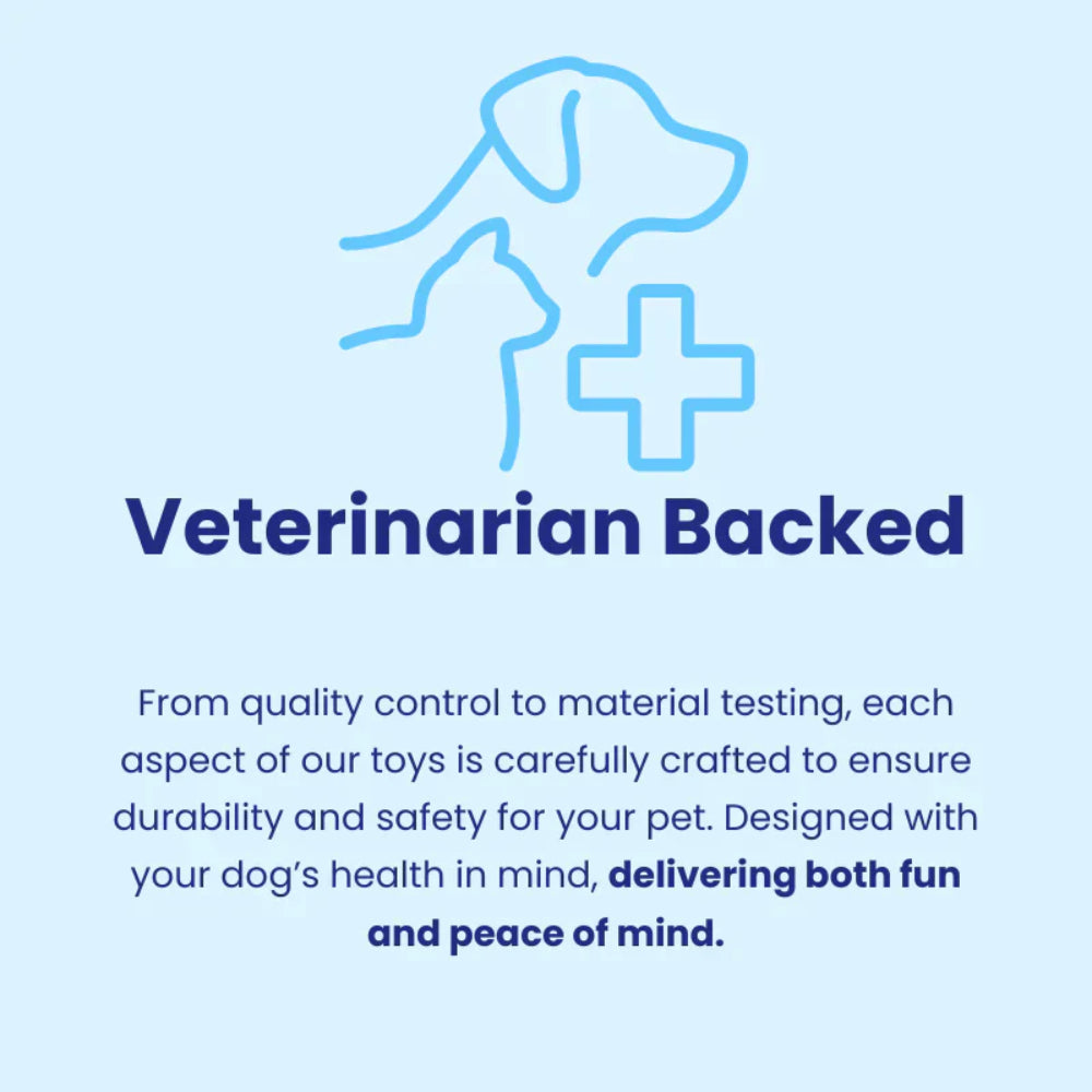 Dog Plush Toy for Aggressive Chewers Soft Squeaky Chew Toy