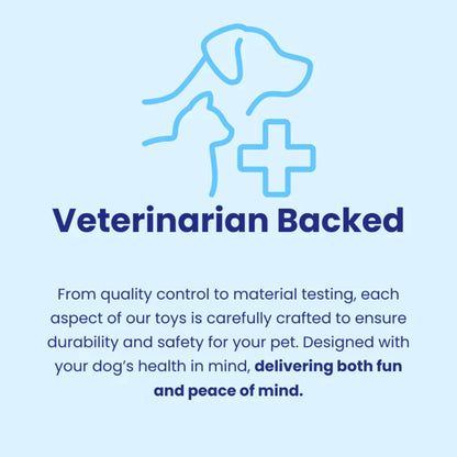 Dog Plush Toy for Aggressive Chewers Soft Squeaky Chew Toy