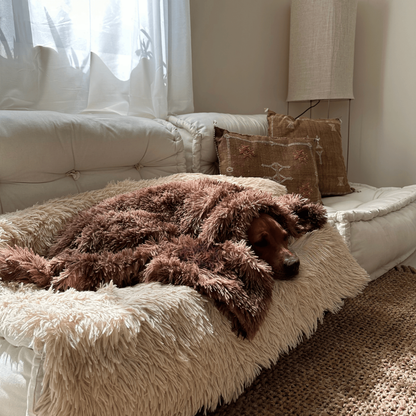 Pet Blanket Soft Plush Faux Fur Washable Throw for Dogs and Cats