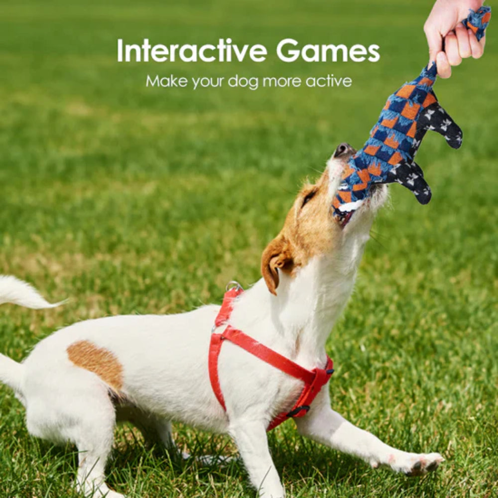 Dog Toy Durable Rubber Chew Toy for Heavy Chewers with Squeaker