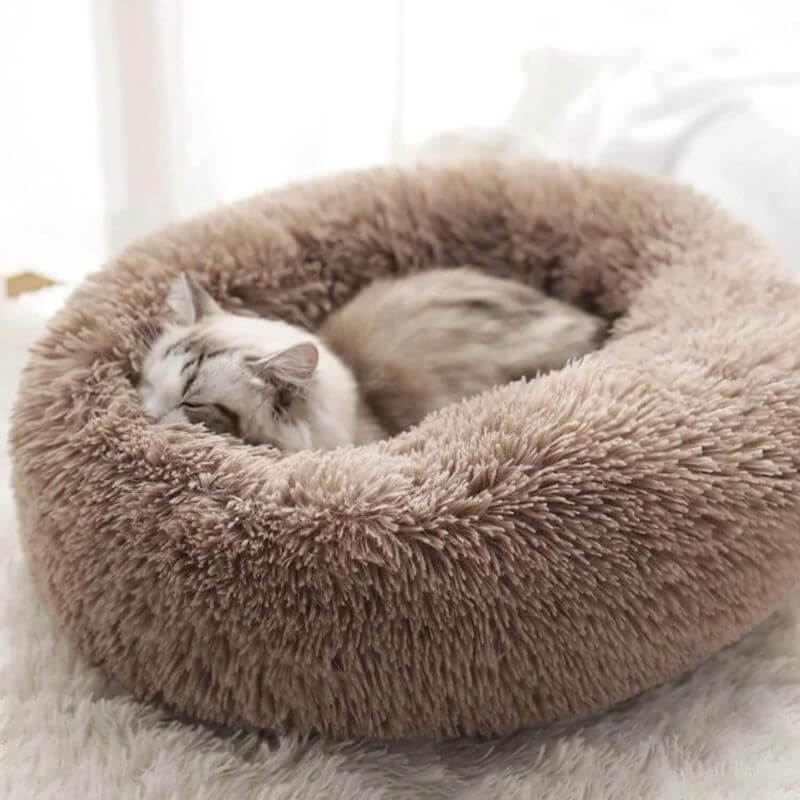 Calming Cat Bed for Anxiety Relief, Soft Plush Fabric, Multiple Sizes 4