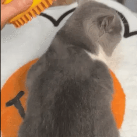 Cat Grooming Brush for Shedding with Soothing Silicone Bristles 5