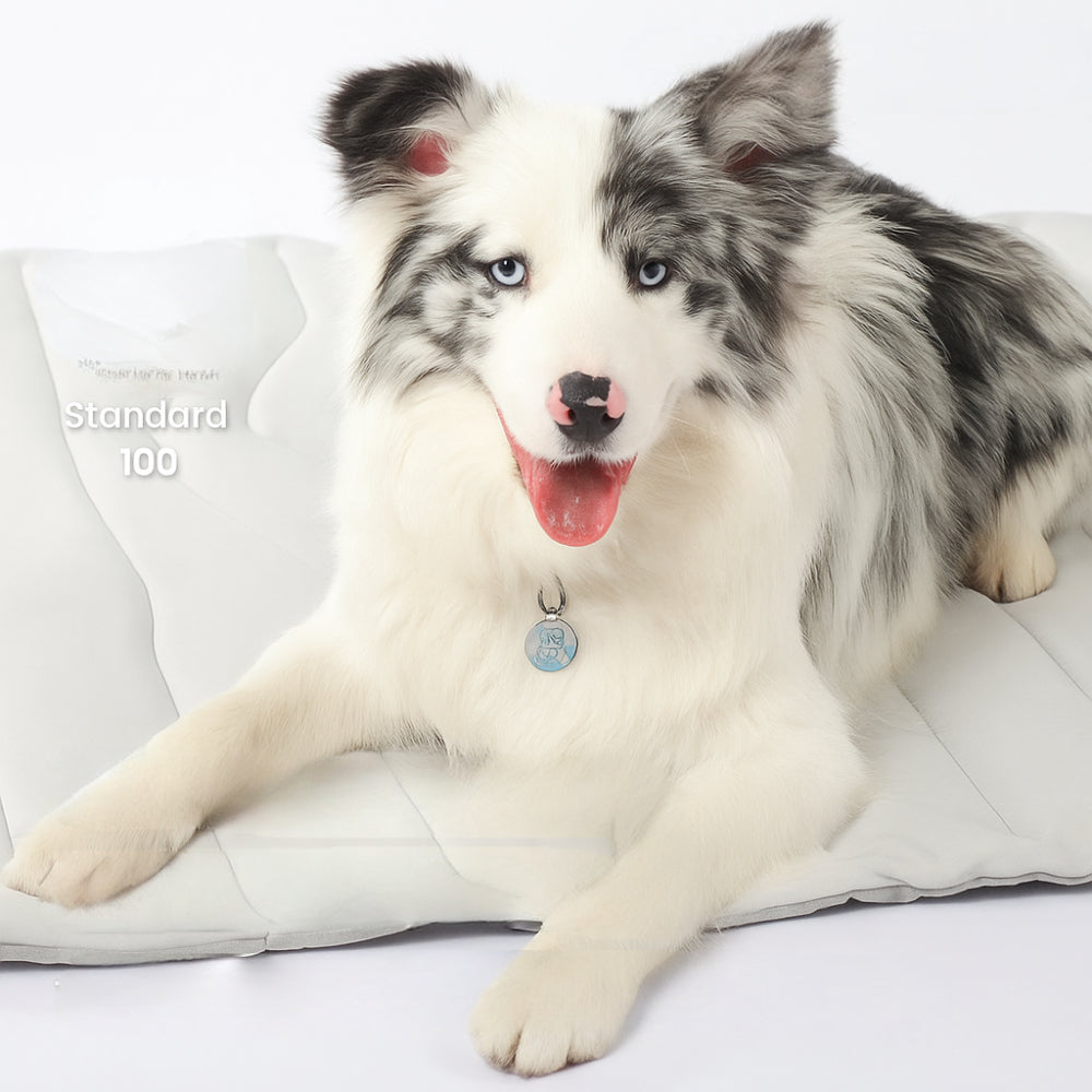 Dog Cooling Mat Reversible Washable Pad for Summer and Winter Comfort
