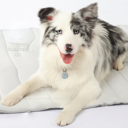 Dog Cooling Mat Reversible Washable Pad for Summer and Winter Comfort