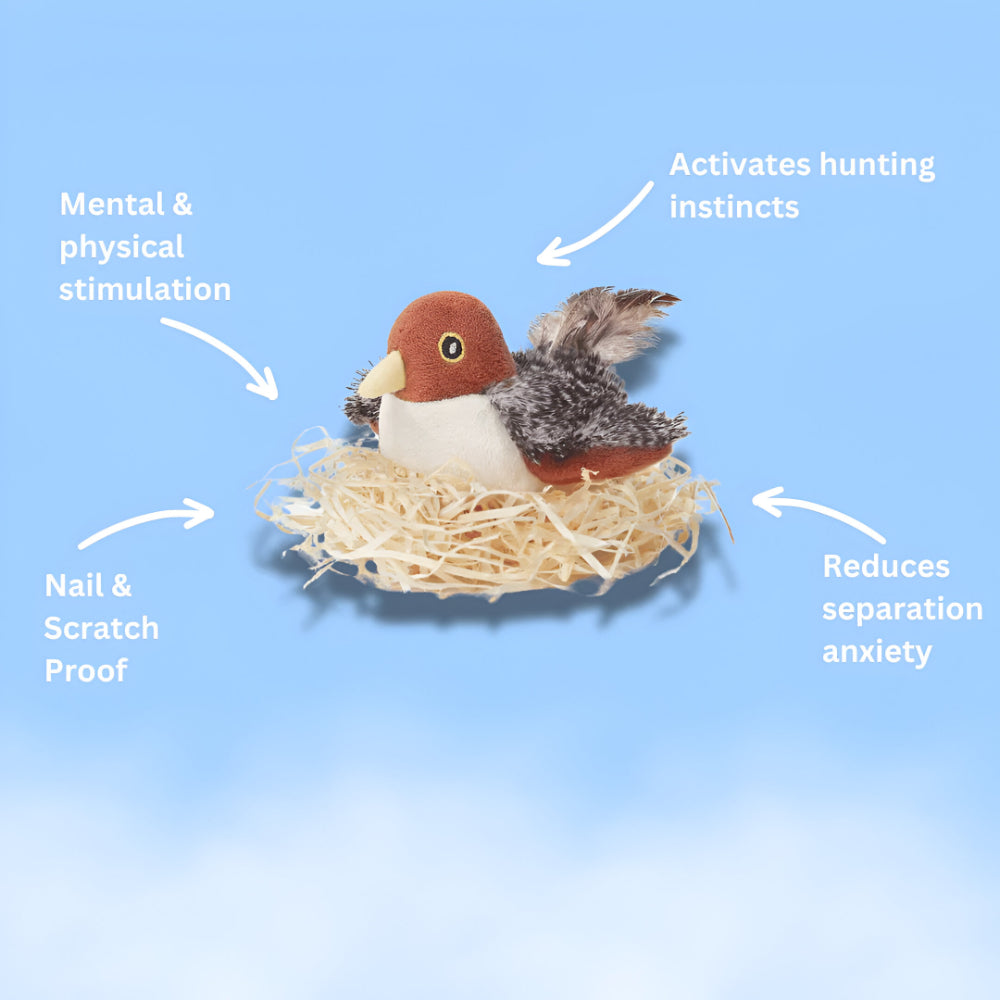 Cat Toy with Flapping Wings and Realistic Chirping Sounds