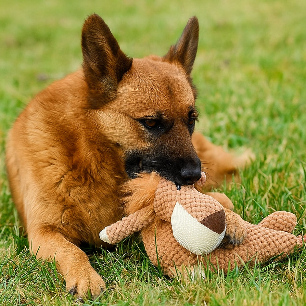 Dog Chew Toy Plush Animal Squeaky Toy for Training and Playtime Fun