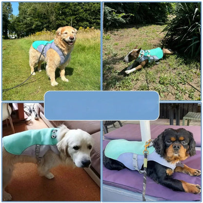 Dog Cooling Vest for Heat Protection and Outdoor Comfort