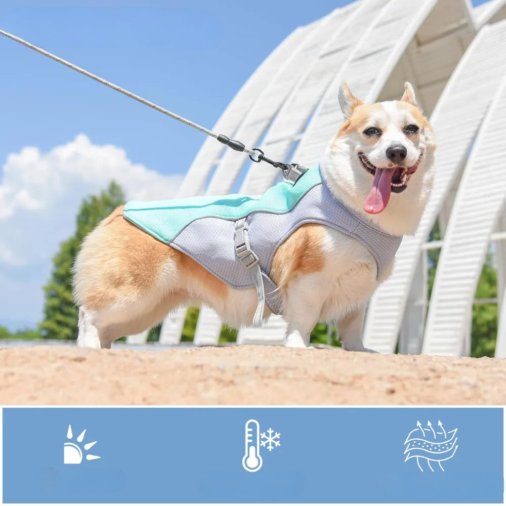 Dog Cooling Vest for Heat Protection and Outdoor Comfort