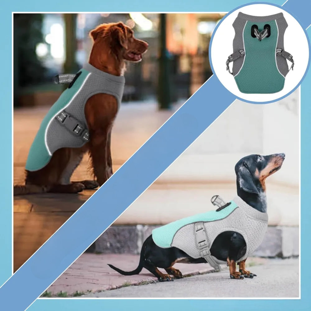 Dog Cooling Vest for Heat Protection and Outdoor Comfort