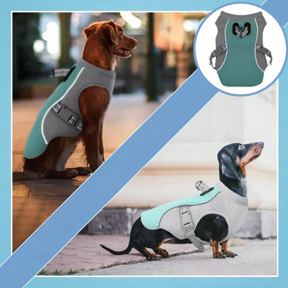 Dog Cooling Vest for Heat Protection and Outdoor Comfort