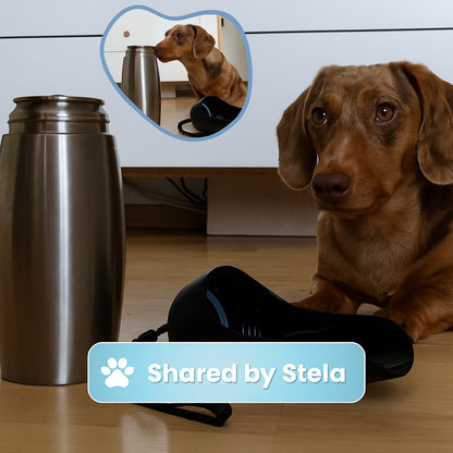 Dog Hiking Water Bottle Stainless Steel Insulated Travel Bottle
