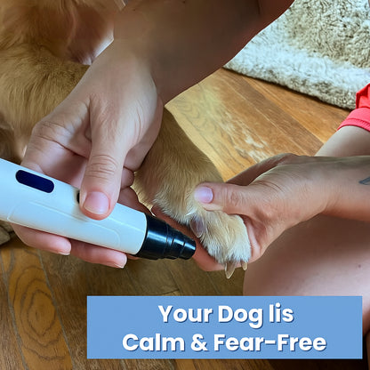 Dog Nail Grinder Electric Pet Care Tool for Quiet and Safe Grooming