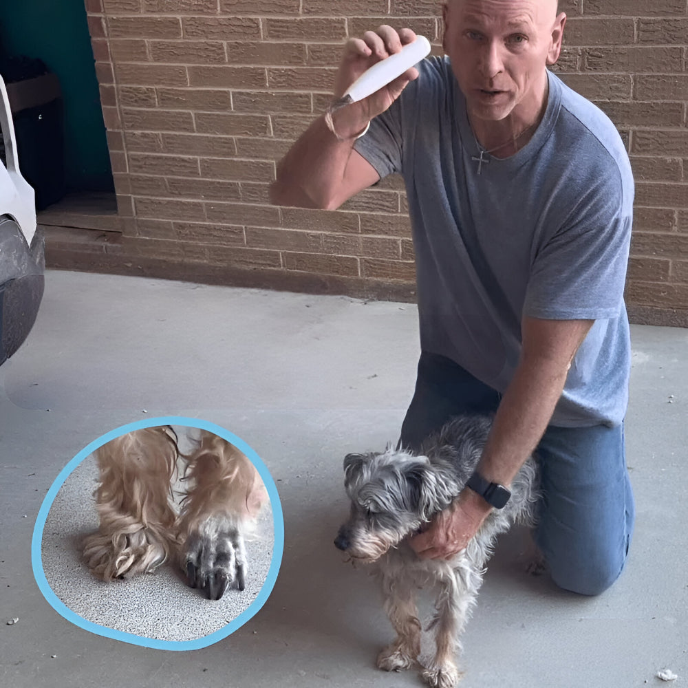 Dog Paw Trimmer Rechargeable Quiet Grooming Tool for Pet Care