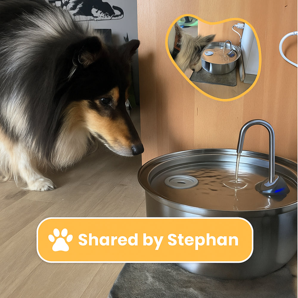 Dog Stainless Steel Water Fountain Large Quiet Dispenser
