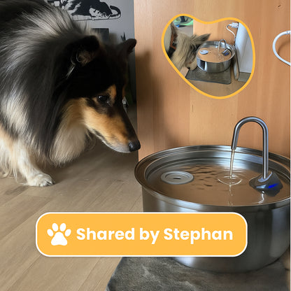 Dog Stainless Steel Water Fountain Large Quiet Dispenser