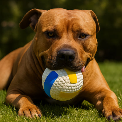 Dog Toy Durable Latex Chew Ball for Aggressive Chewers