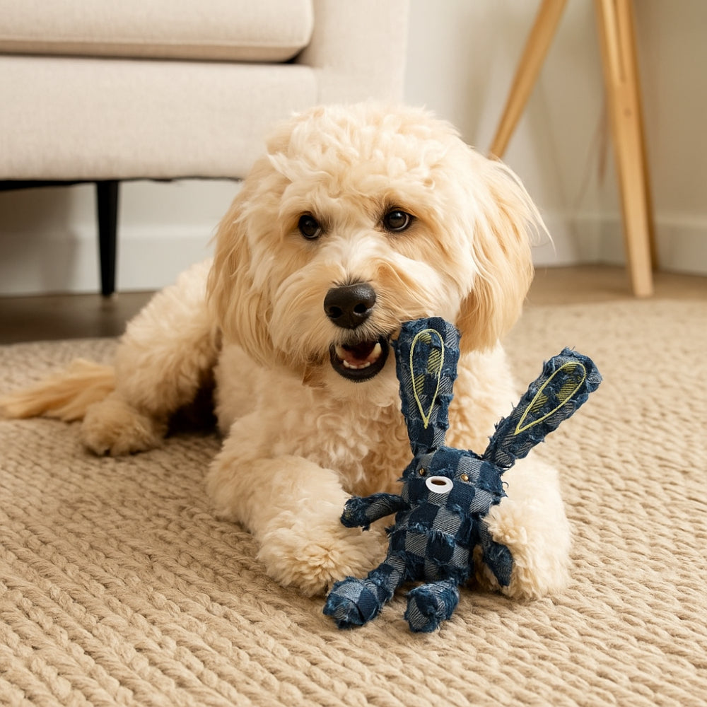 Dog Toy Durable Rubber Chew Toy for Heavy Chewers with Squeaker