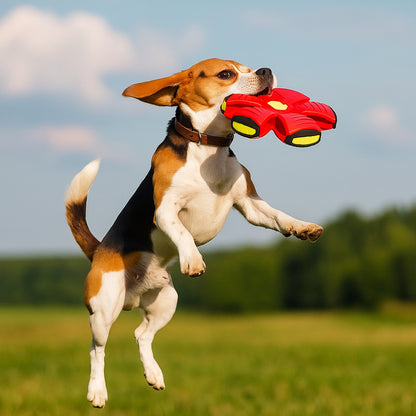 Dog Toy Flying Disc Interactive Ball for Outdoor Fetch Games