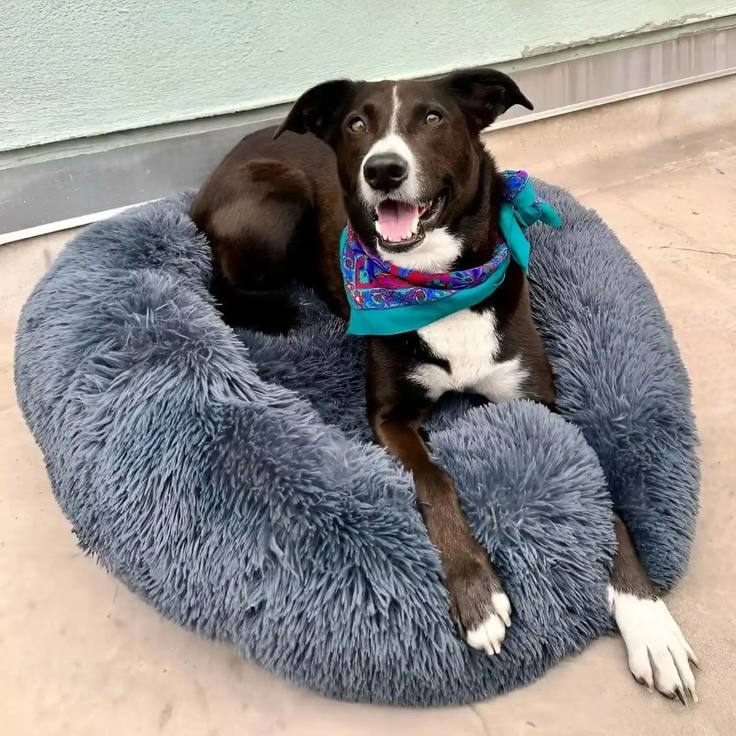 Dog Bed for Anxiety Relief - Plush Fabric, Multiple Sizes Available 1