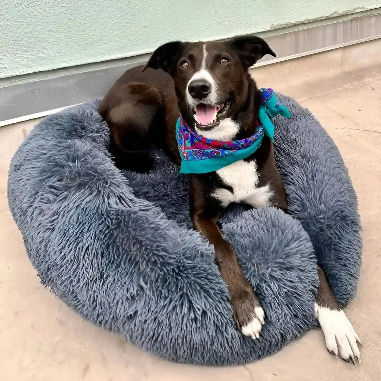 Dog Bed for Anxiety Relief - Plush Fabric, Multiple Sizes Available 1