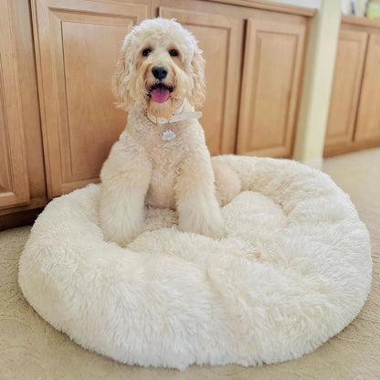 Dog Bed for Anxiety Relief - Plush Fabric, Multiple Sizes Available 3