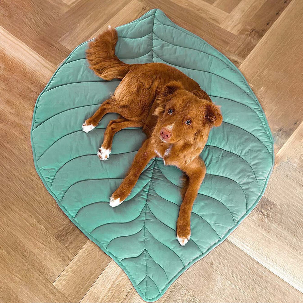 Dog Blanket Leaf Design - Soft Cotton Polyester Pet Blanket for Couch 9