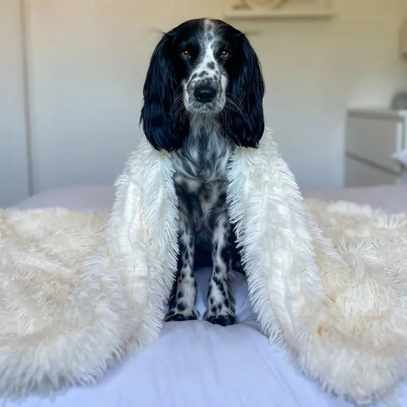 Dog Blanket for Comfort and Anxiety Relief - Soft Plush Pet Blanket 3