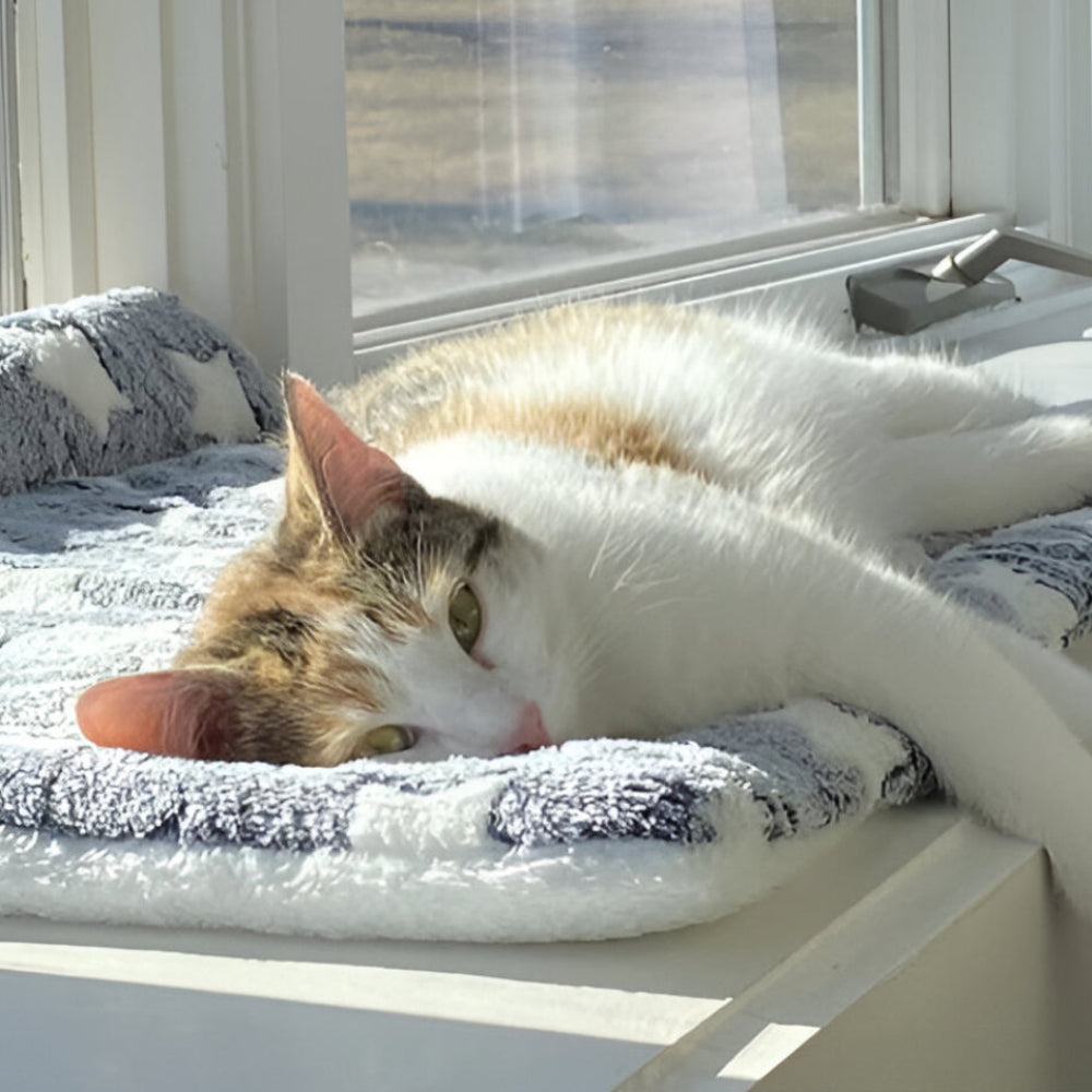 Pet Blanket Soft Plush Fleece Throw for Cozy Sleep and Furniture Care