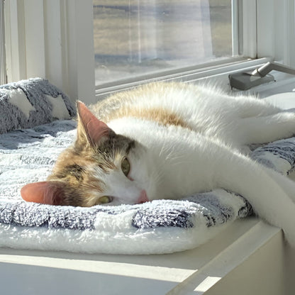 Pet Blanket Soft Plush Fleece Throw for Cozy Sleep and Furniture Care