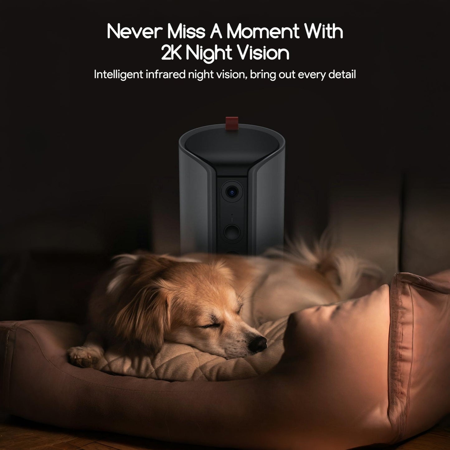 Dog Camera with Treat Dispenser and Smart 2K HD Video Monitoring