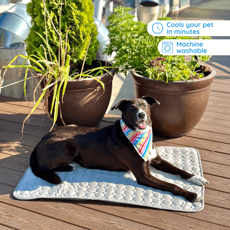 Dog Cooling Mat for Instant Temperature Relief, Premium Cooling Silk 0