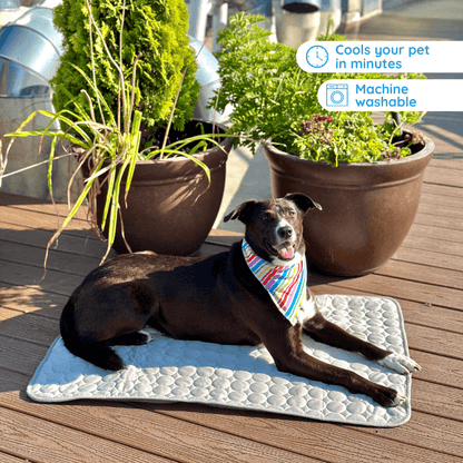 Dog Cooling Mat for Instant Temperature Relief, Premium Cooling Silk 0