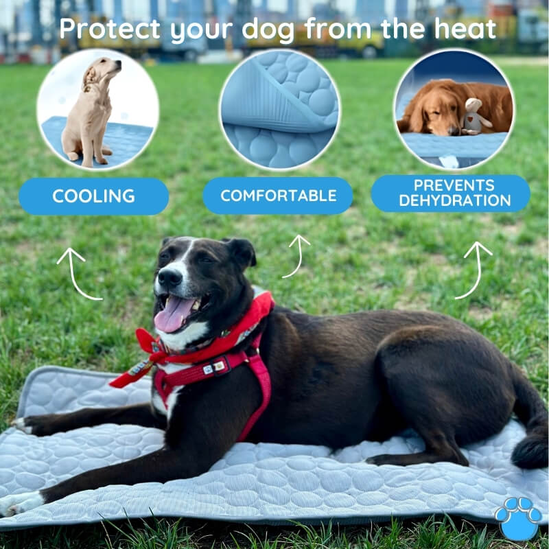 Dog Cooling Mat for Instant Temperature Relief, Premium Cooling Silk 1