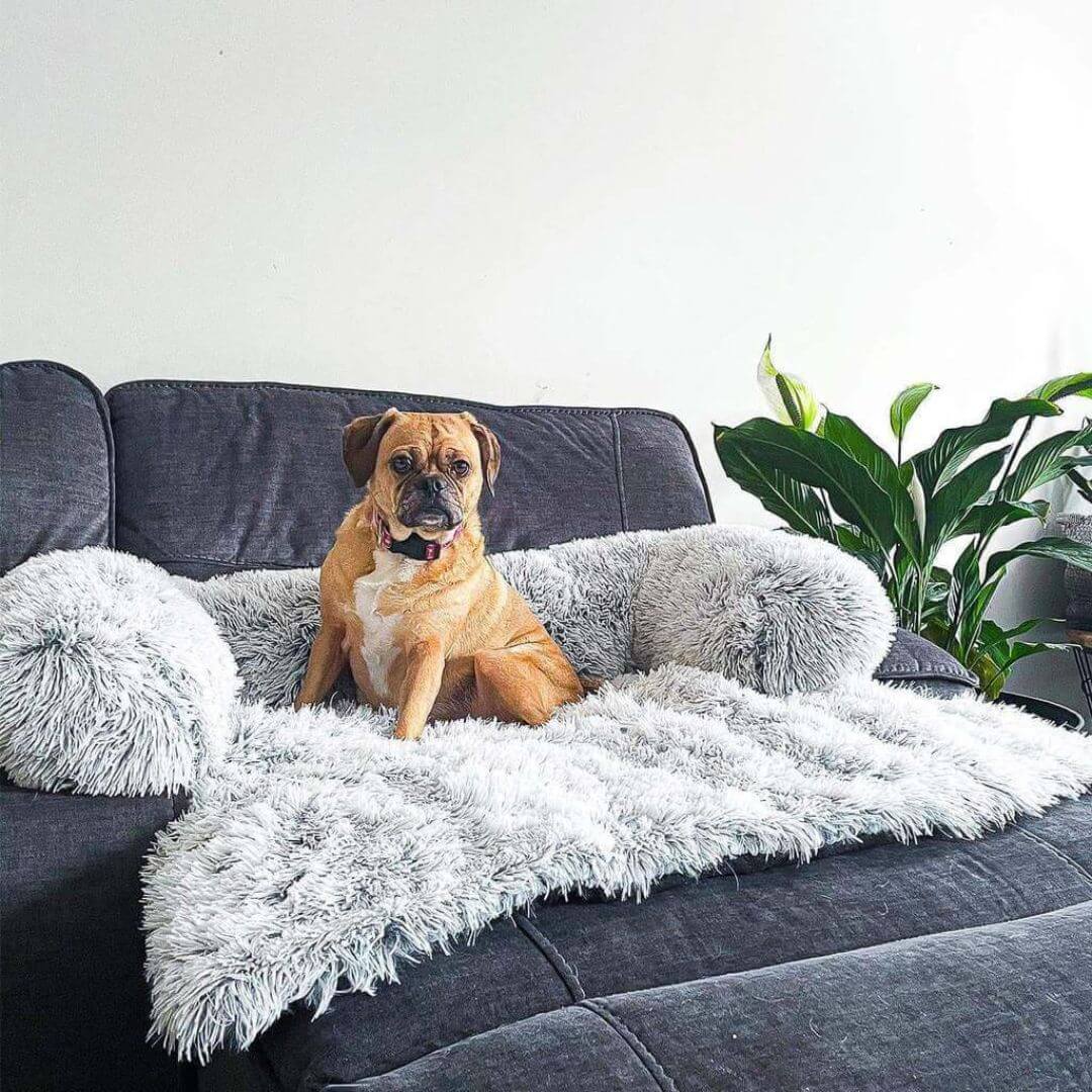 Dog Sofa Cover Fluffy Couch Protector for Pets with Anti-Slip Design 5