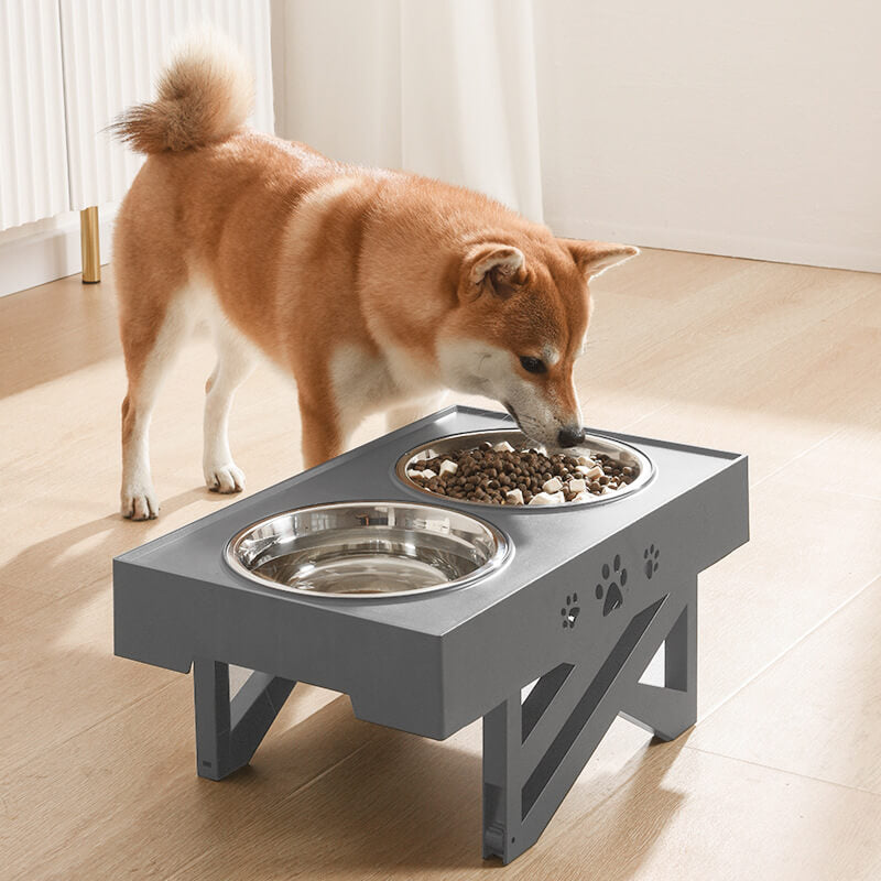 Elevated Slow Feeder Dog Bowl with Adjustable Height for Healthy Eating 1