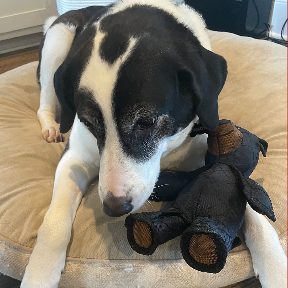 Indestructible Dog Toy for Aggressive Chewers - Durable Interactive Squeaker 7