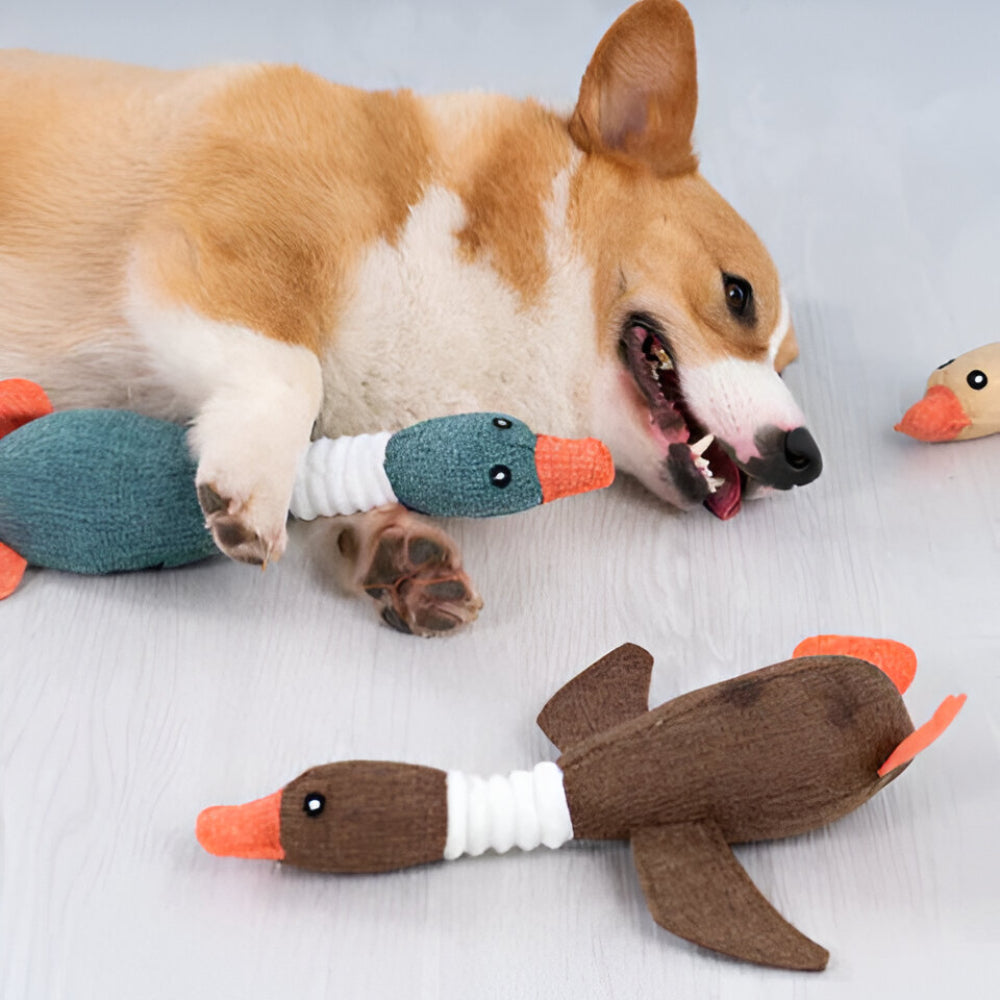Dog Toy Durable Plush Duck for Heavy Chewers