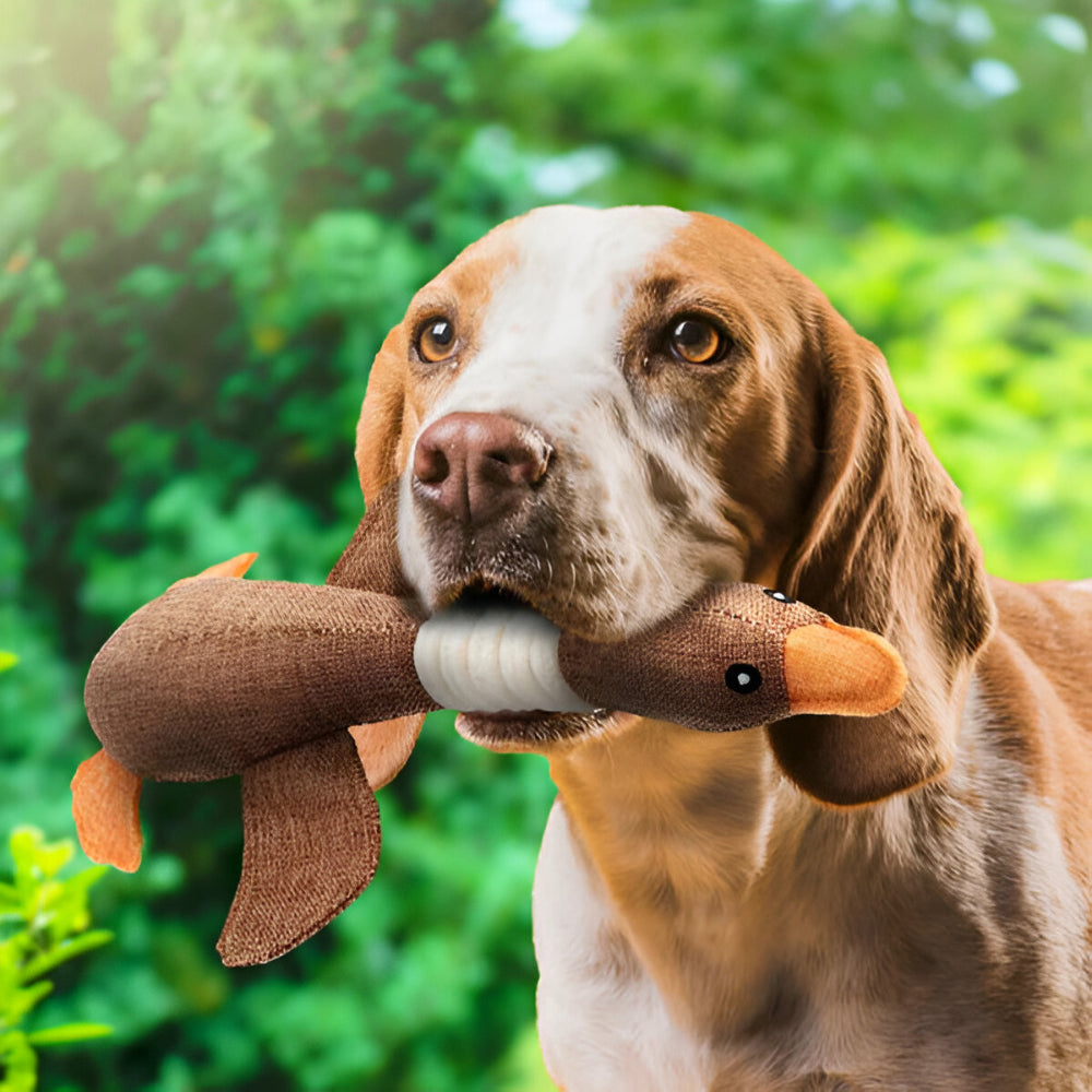 Dog Toy Durable Plush Duck for Heavy Chewers