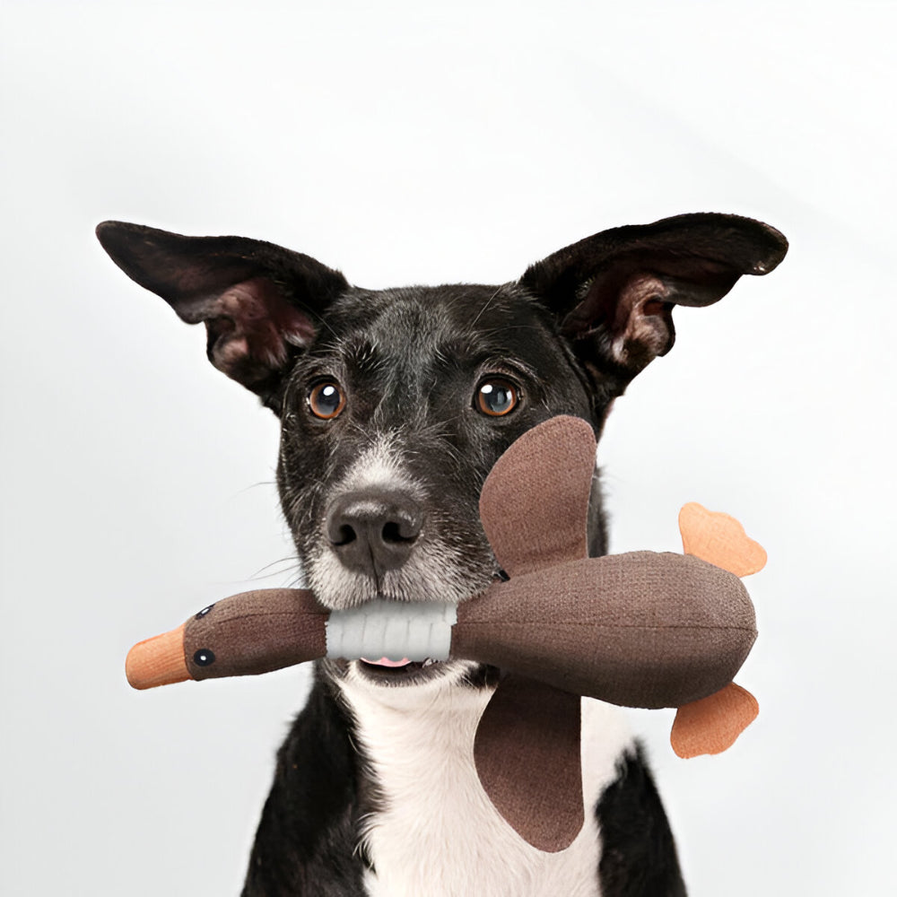 Dog Toy Durable Plush Duck for Heavy Chewers