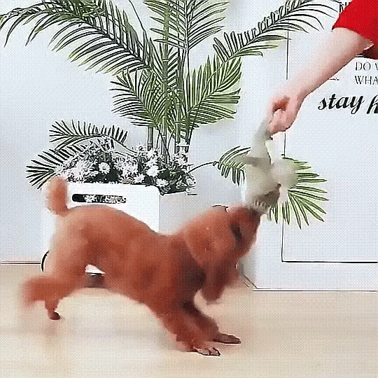 Indestructible Dog Toy for Aggressive Chewers - Heavy Duty Chew Toy 7