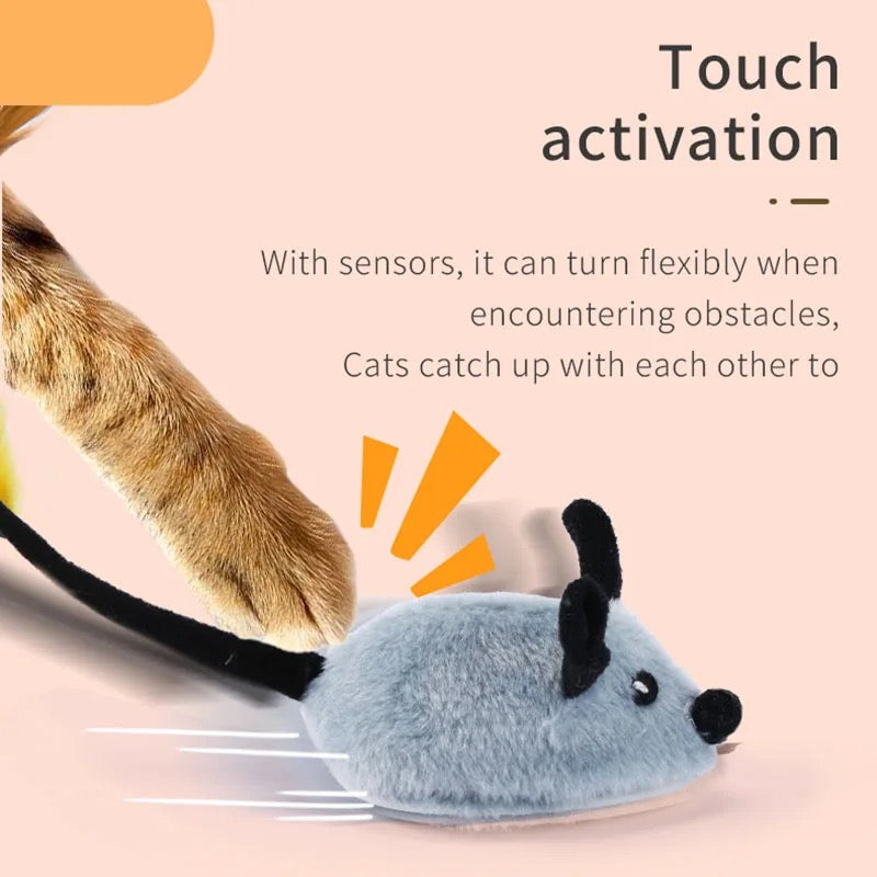 Interactive Cat Toy for Active Play and Mental Stimulation 2