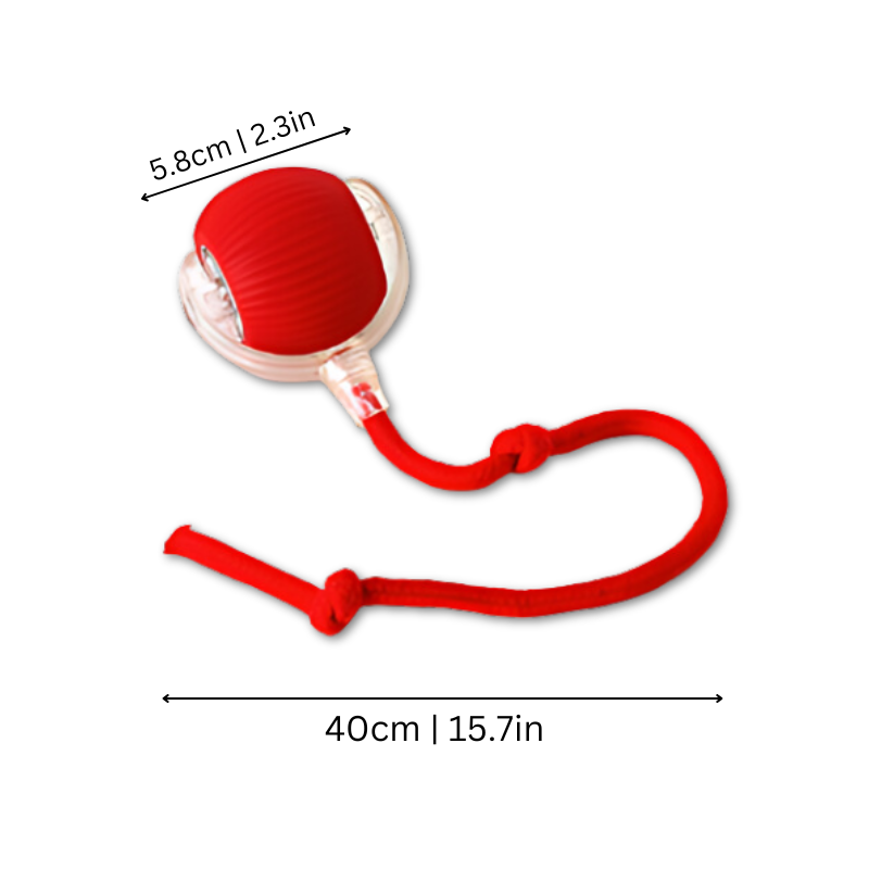 Interactive Cat Toy with Automated Chaser for Engaging Play 2