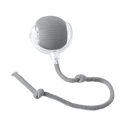 Interactive Cat Toy with Automated Chaser for Engaging Play 4